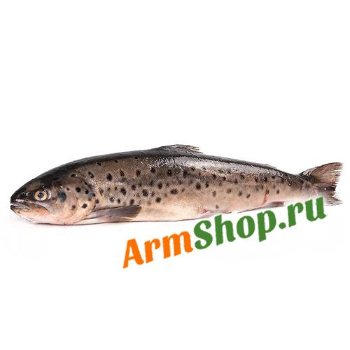 Форель Гегаркуни ПСГ Охлажденная 6000 - 650 гр 